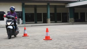 srt_plm defensive indonesia